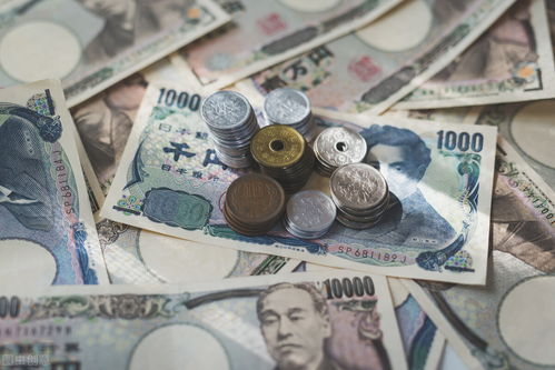 30万日元人民币30万日元在日本什么水平