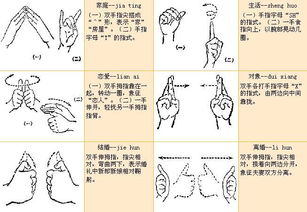 谢谢手势