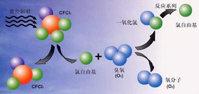 臭氧层破坏的危害臭氧层破坏的危害有哪些