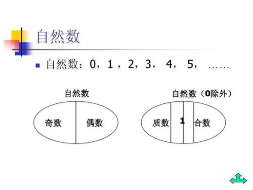 什么叫自然数自然数包括什么?