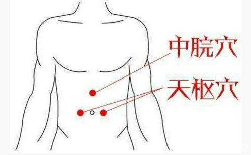 3,足三里:足三里穴,是"足阳明胃经"的主要穴位之一,位于小