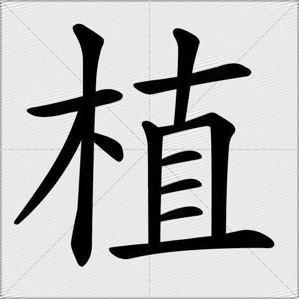 植什么意思解释植字笔画笔顺植拼音组词