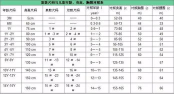 法国尺码40图片