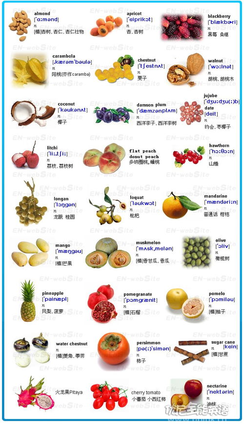 500种水果名称图片图片