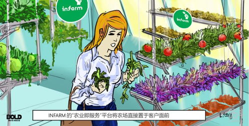 farm是什么意思翻译图片