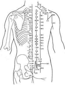 督脉的准确位置高清图督脉的准确位置图和作用