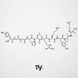 安多芬和多巴胺的區別安多芬和胺多酚的區別