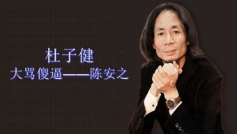 杜子健因为什么坐牢？