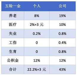 稅後工資計算器稅後工資法律