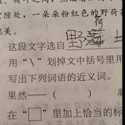 安慰的近義詞是什麼安慰的近義詞是什麼詞