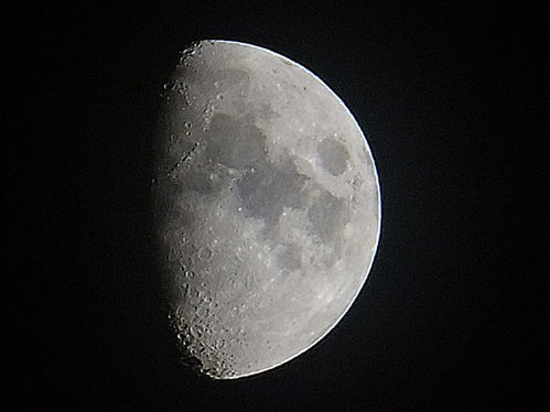 月亮组爆料图片