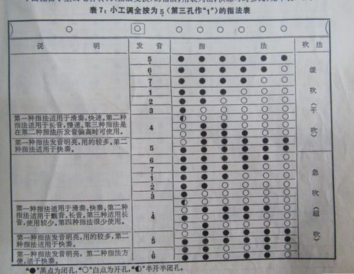 B调竖笛指法图解图片