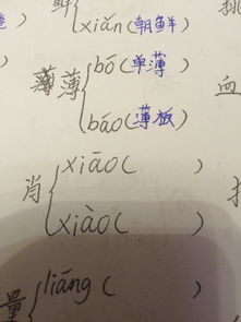 肖的多音字組詞肖的多音字組詞和拼音