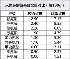 人体必须氨基酸人体必需氨基酸有几种