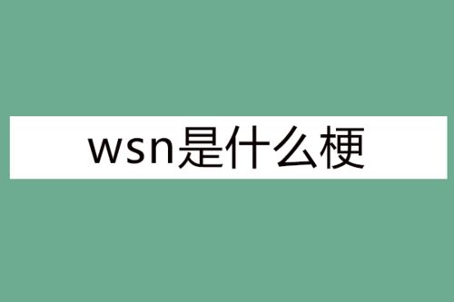 wsn是什么