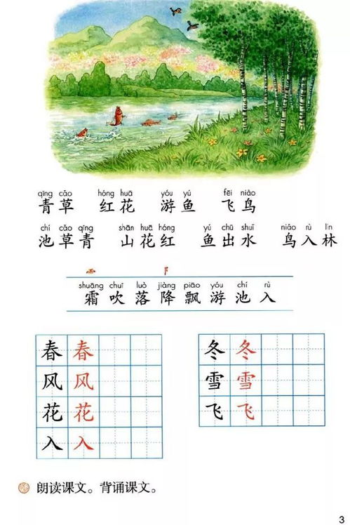 冬的笔画笔顺怎么写