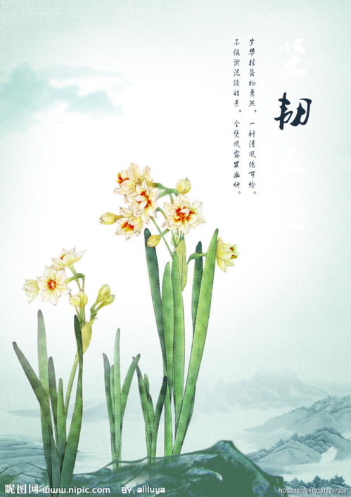 水仙花的诗歌和散文(水仙花的诗歌和散文有哪些)