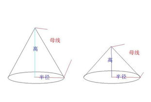剪开直圆锥的侧面,会得到一个扇形,它的半径是这个直圆锥的母