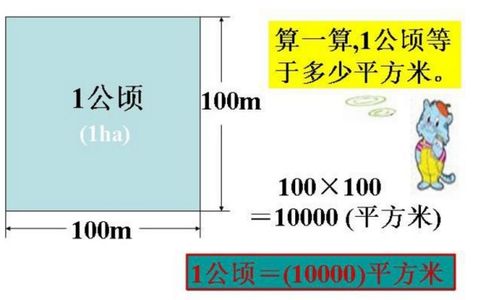 85亩等于多少平方米(85亩等于多少平方米怎么算)