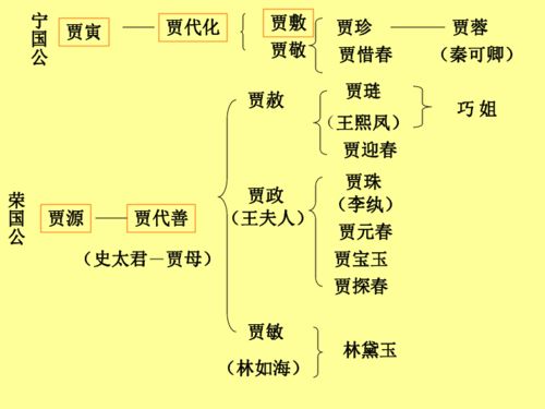 红楼梦红楼春趣关系图图片