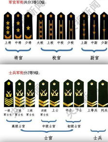 軍銜軍職對應表軍銜軍職對應表一槓一星