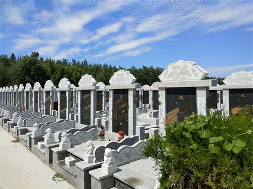 现代农村坟墓图片图片
