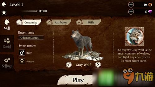 wolf的复数wolf的复数为什么是wolves