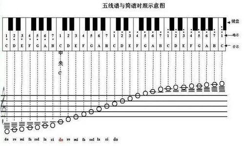 钢琴五线谱识谱口诀图片