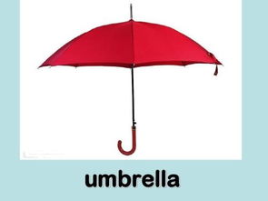 雨伞英文怎么读图片