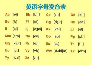 花瓶英语怎么读音发音花瓶英语怎么读音发音视频