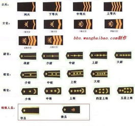 韩国军衔的介绍