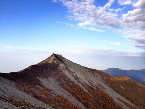 保護區地處秦嶺山脈中段,太白山頂海拔3767米,為秦嶺