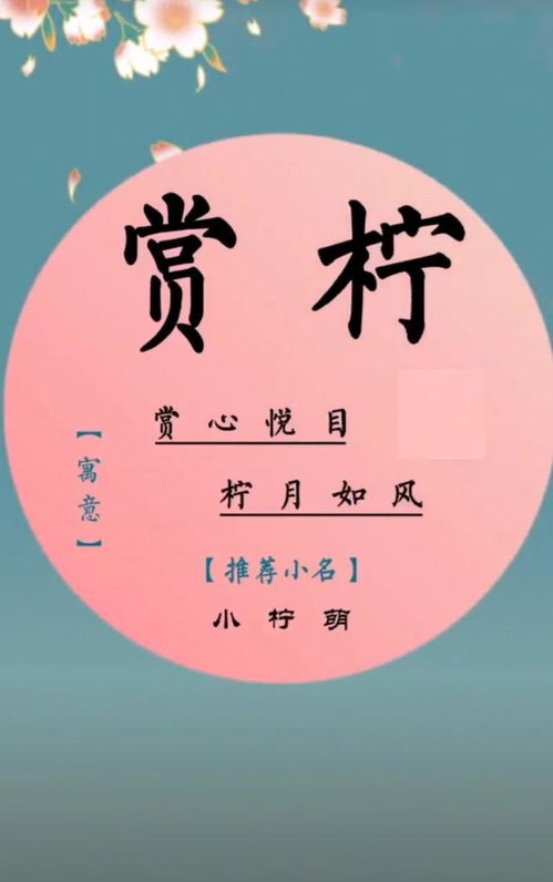 思追名字的含義