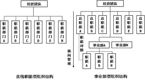 多维制组织结构图图片