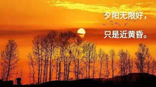 夕阳斜照图说一句话图片