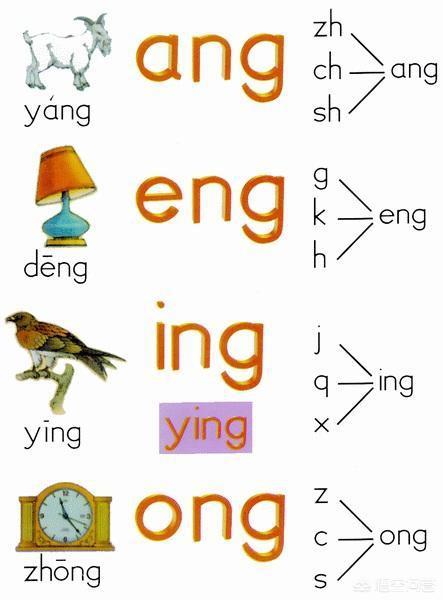 後鼻韻母后鼻韻母怎麼讀