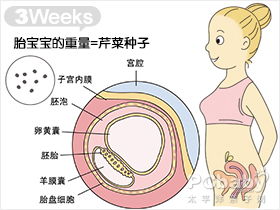 怀孕有什么特征和反应怀孕有什么特征和反应前十天