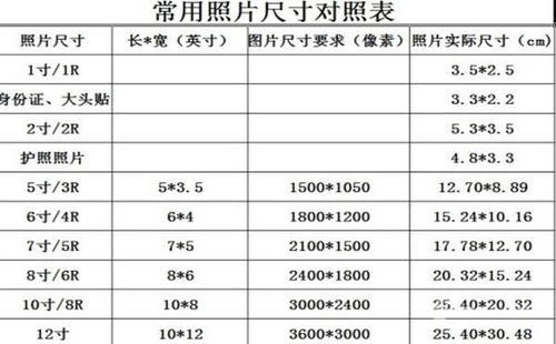 6寸照片和a4纸对比图片