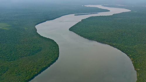 快亚马逊河大部分在巴西境内巴西人自豪地称之为河海