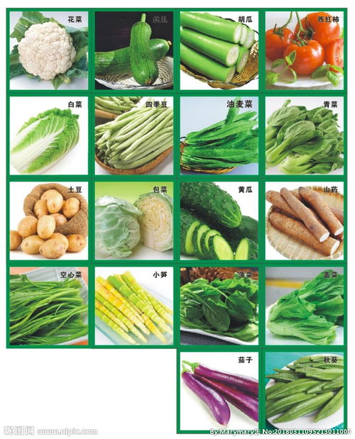 蔬菜名字图样图片