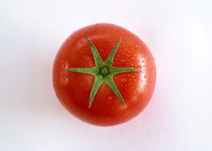 tomato复数图片