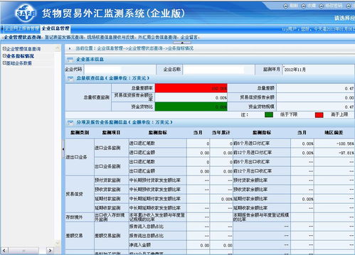 初次登陆国家外汇管理局网上服务平台  ，企业代码