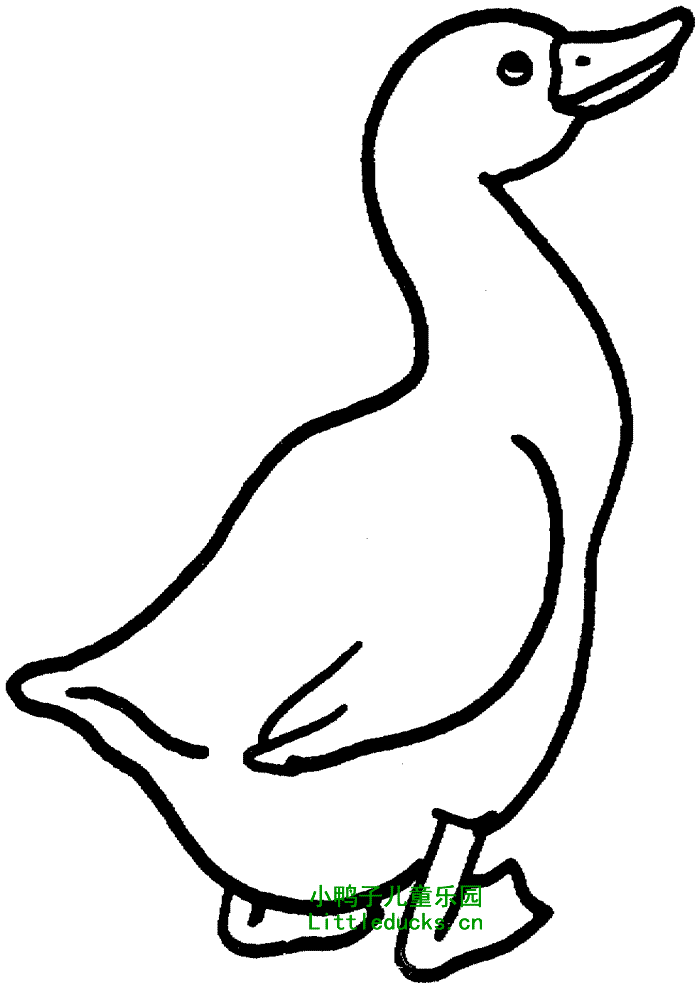 鹅简单画法图片