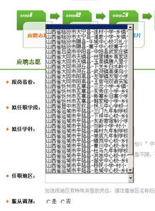 山西省农村义务教育学校教师特设岗位计划实施方案