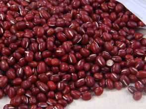 饭豆的功效与作用: 调中益气,健脾益肾