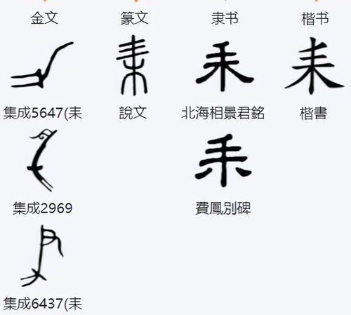 "耒"字一般与"耜"字组词为"耒耜.