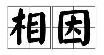 二木不成林是什么字