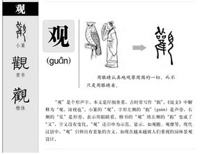 列觀guàn,guān觀看,樂觀guān,guān觀眾,參觀guān,壯觀guān 拼音