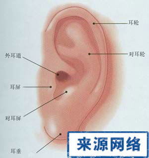 耳朵結構圖與名稱耳朵結構圖與名稱的功能