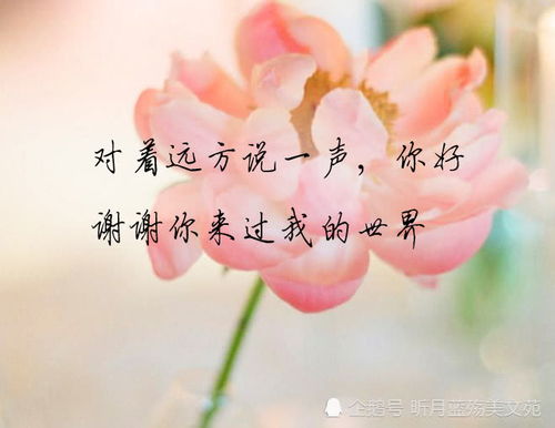 歌詞;謝謝你,讓我遇上你,謝謝你,讓我愛上你.歌曲名字是什麼_百度知